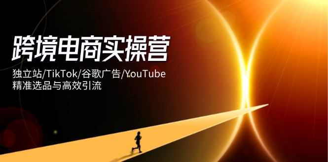 跨境电商实操营：独立站/TikTok/谷歌广告/YouTube，精准选品与高效引流-资源库