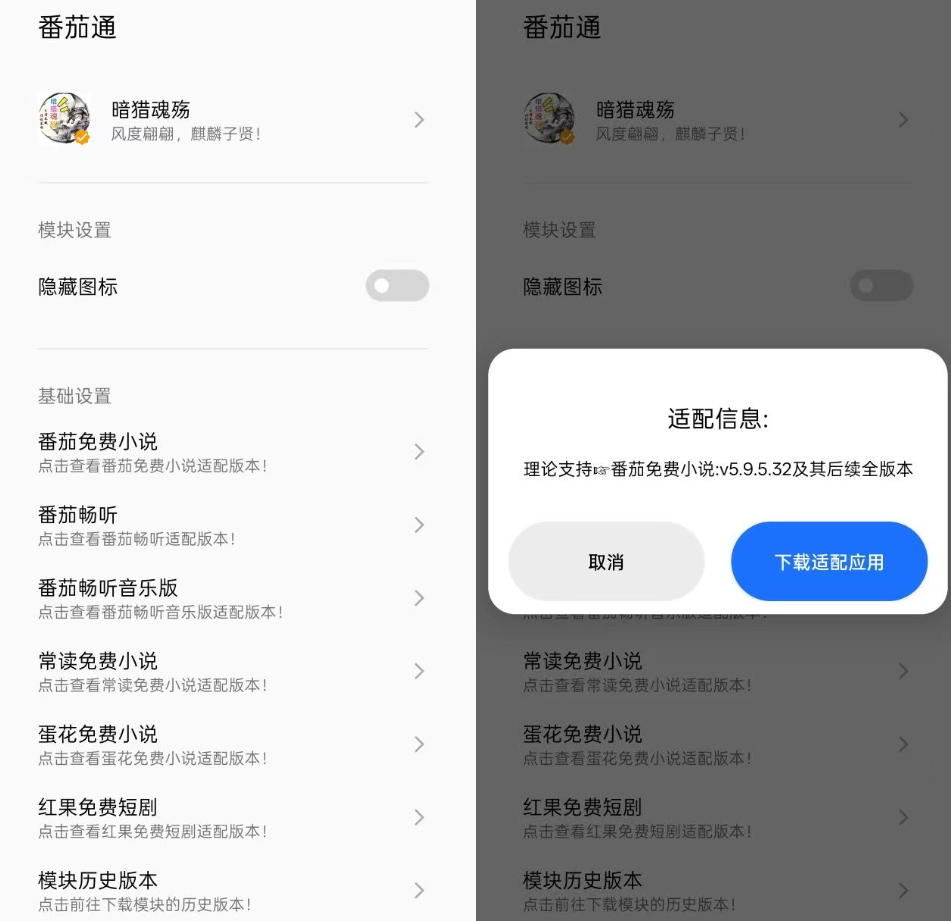 【番茄通】支持番茄小说/番茄畅听全系列去广告-资源库